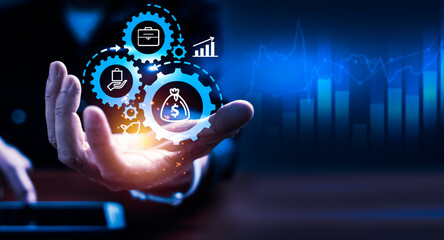 甘蓝和包心菜一样吗？